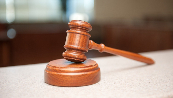 Druhy žalob v nové navrhované procesní úpravě